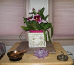 Power of Essential Oils